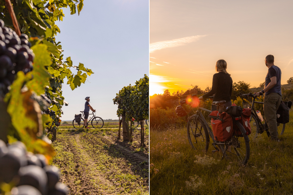 Iron curtain fietstrail Foto's_ Franziska-Consolati