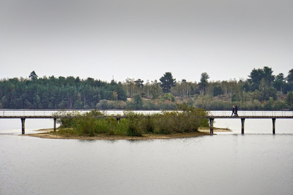 Maasduinen. Foto: ANP
