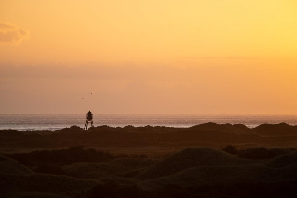'Oerd op Ameland. Foto: Getty Images