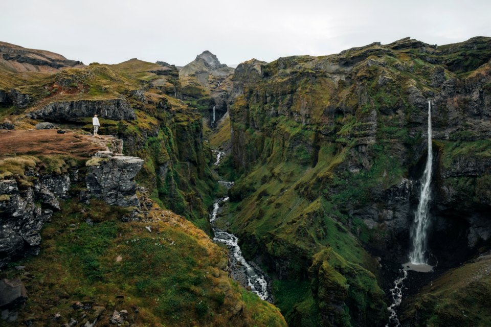 Wandel naar Jurassic Park. Foto: Sjoerd Bracke