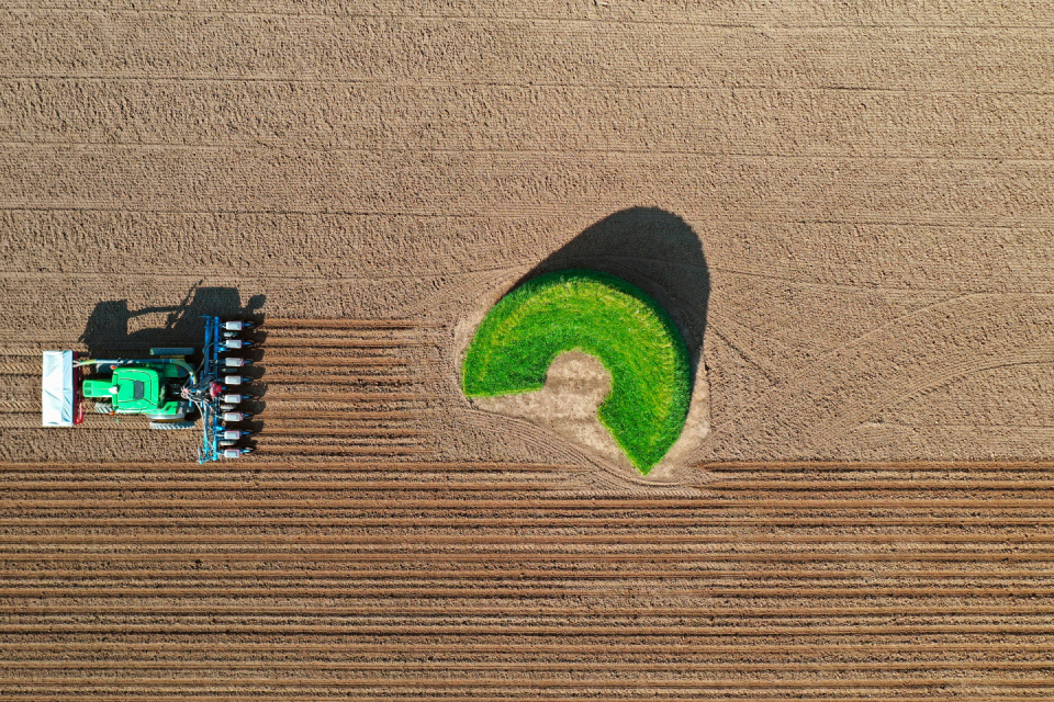 De IJsselbiënnale, Aan de IJssel. Foto: Jeroen Ilbrink