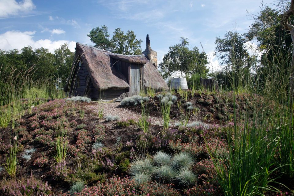 Slapen onder het aardoppervlak op kampeerterrin De Blauwe Haan.