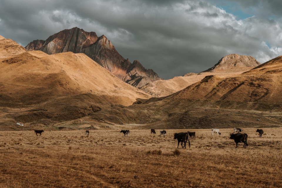 Het gehucht is slechts een paar maanden per jaar bewoond, wanneer de boeren uit lager gelegen dorpen hier hun vee laten grazen.Foto: Björn Snelders