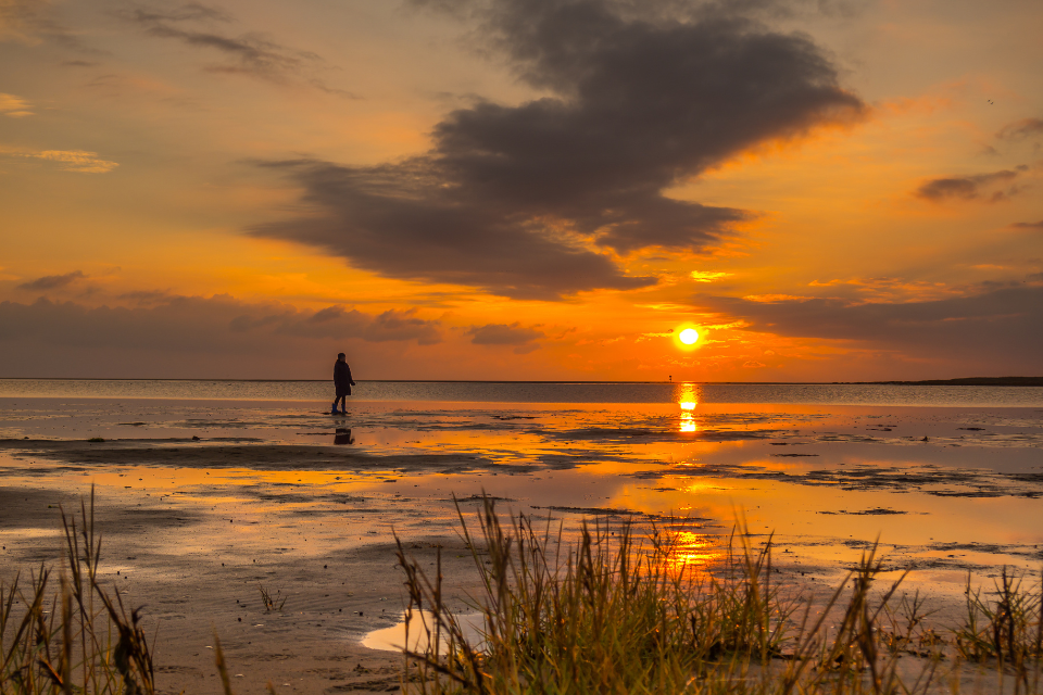 Wadlopen langs de Waddenzee.