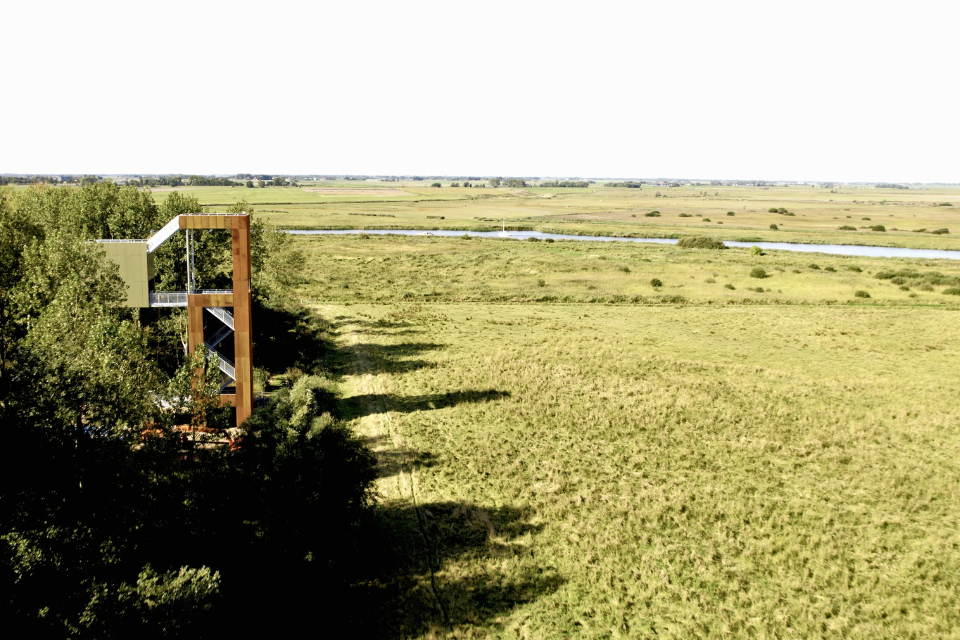 Uitkijktoren in het Diepsterbos.