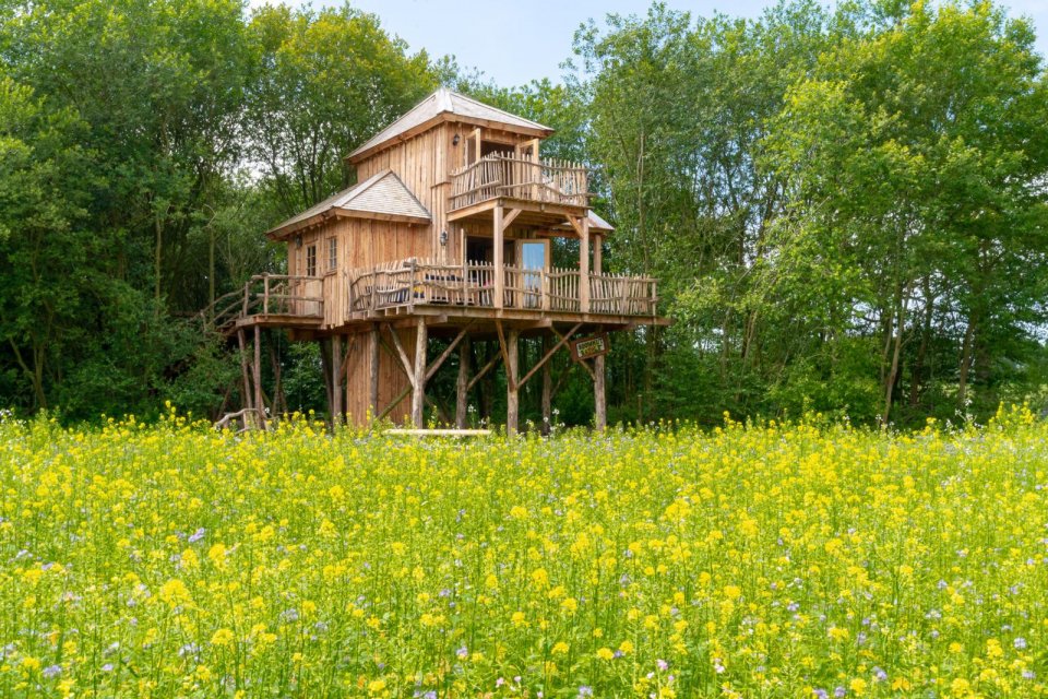 Slaap in een boomhut met uitzicht op het Drentsche Aa. Foto: Guido Rikkers