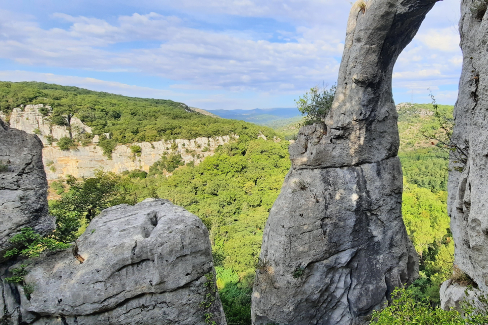 Bois de Païolive. Foto: Getty Images
