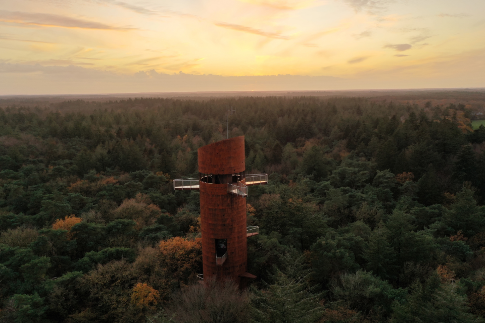 Bosbergtoren in Appelscha. Foto: Wierenga