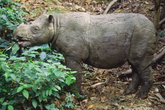 Fietsen in Oostenrijk: de 14 mooiste routes langs rivieren, meren, heuvels en bergen